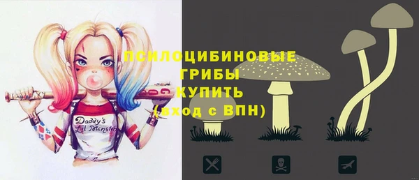 меф Осинники