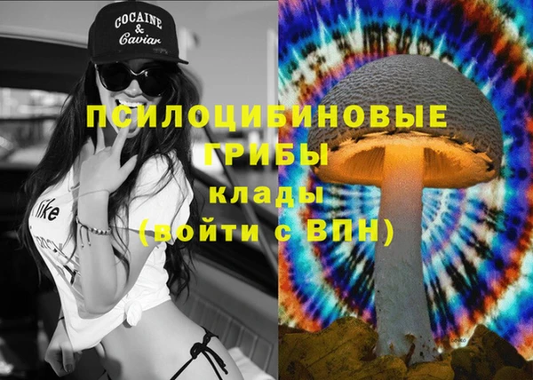 стаф Армянск