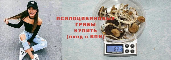 винт Арсеньев
