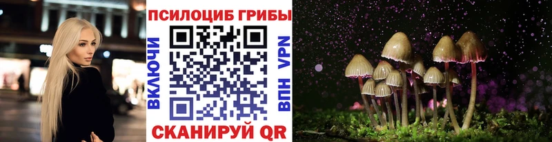 Галлюциногенные грибы мицелий  Ивантеевка 